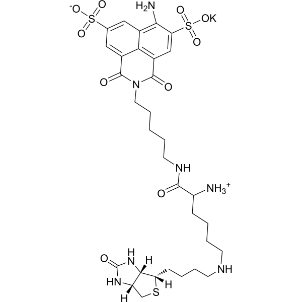 Biocytin Lucifer Yellow potassium
